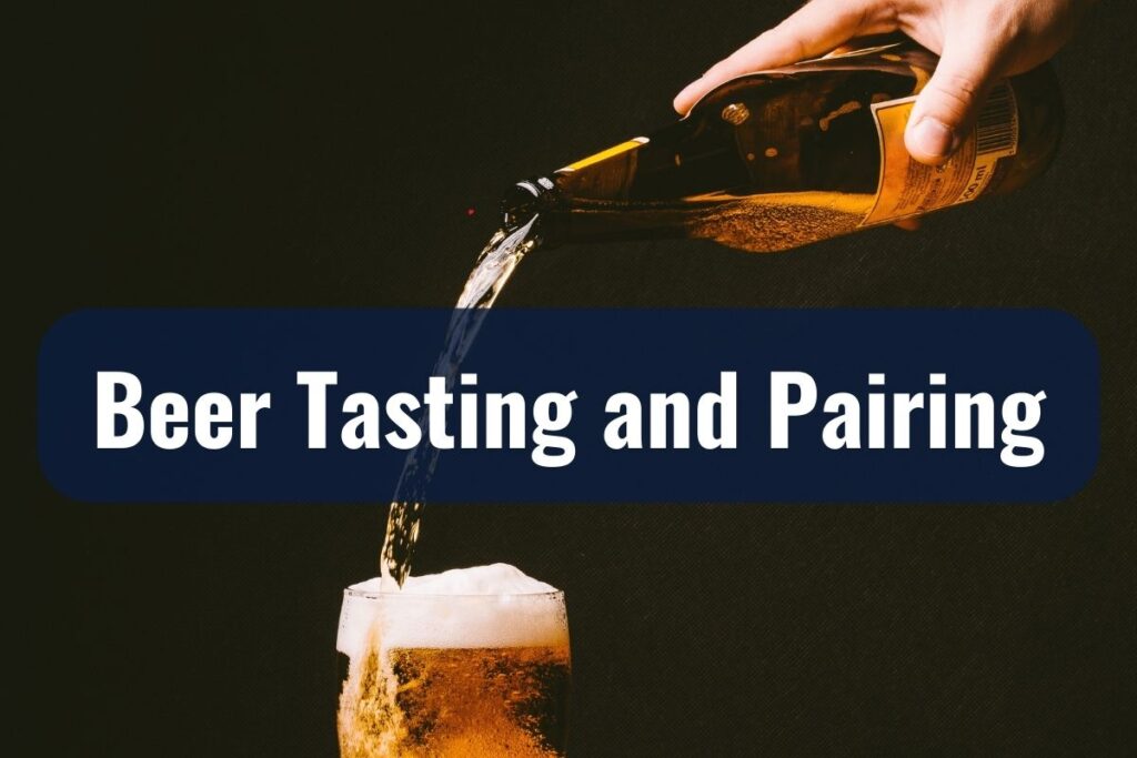 Beer Tasting and Pairing